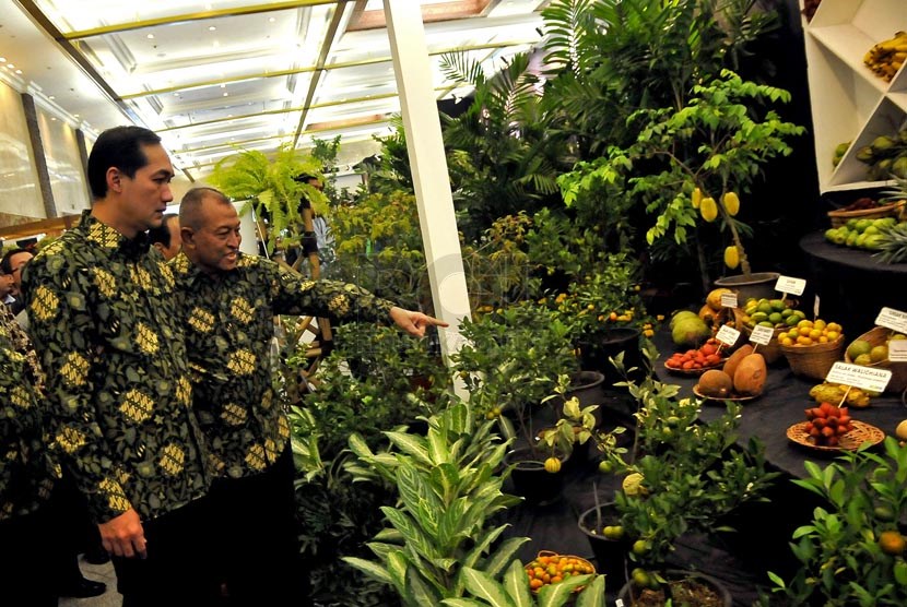 Menteri Perdagangan Muhammad Lutfi (kiri) bersama Ketua Yayasan Coop Indonesia Adi Sasono (kanan) melihat hasil pertanian saat Pameran Agrinex Expo 2014 di JCC, Jakarta, Jumat (28/3).