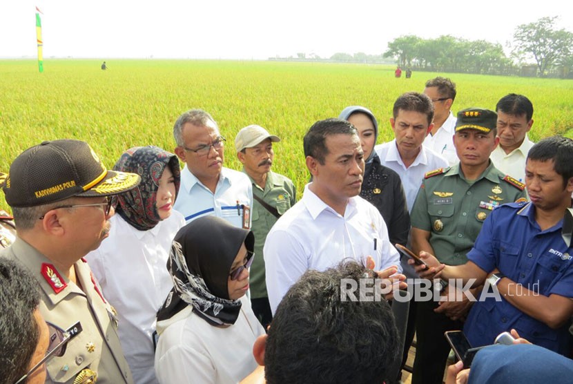 Menteri Pertanian  Amran Sulaiman bersama sejunkah pejabat melakukan panen padi di Kabupaten Karawang.