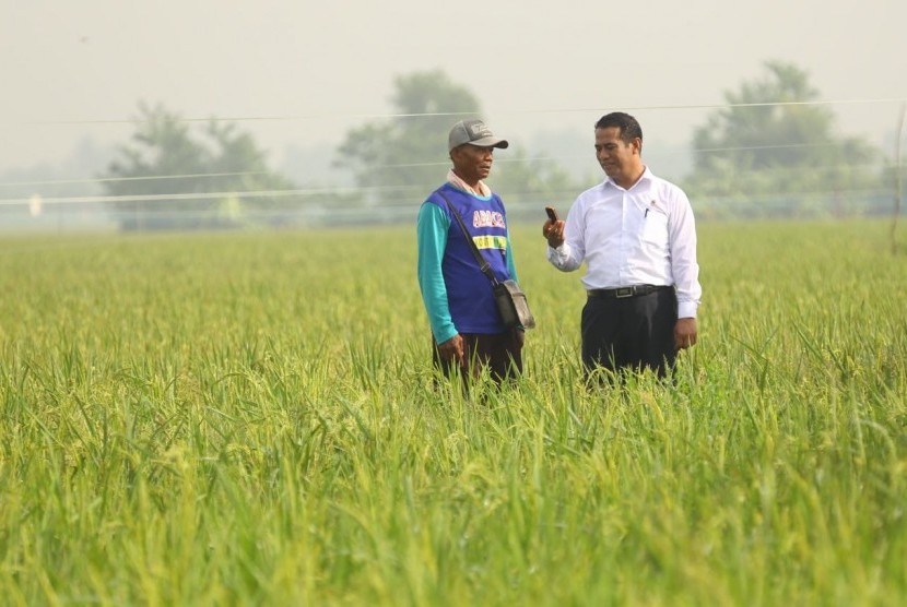 Menteri Pertanian Amran Sulaiman bersama seorang petani