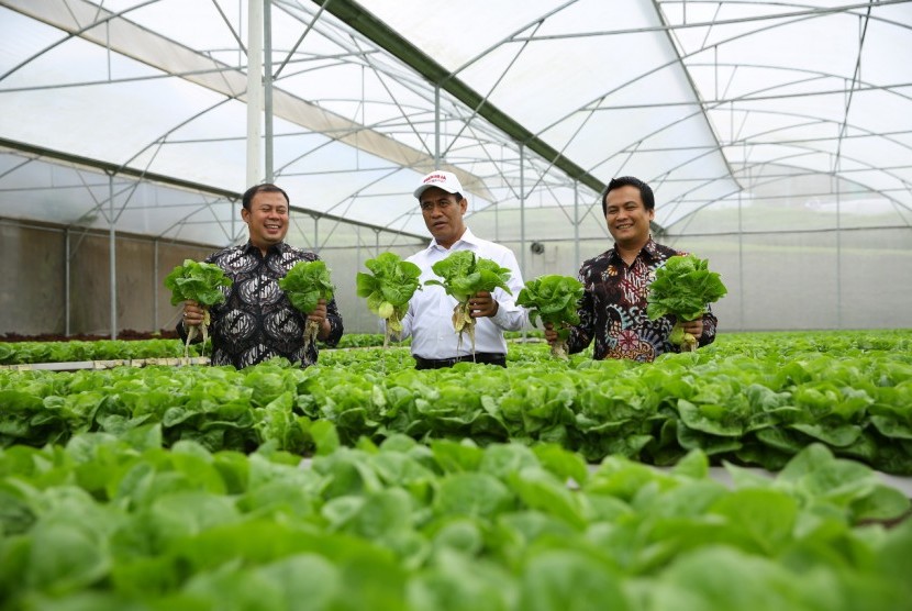 Menteri Pertanian Amran Sulaiman dan Anggota Komisi IV DPR RI, Cucun Ahmad Samsurijal saat melepas ekspor sayuran ke Singapura dan Brunei di Lembang, Bandung, Kamis (3/1).