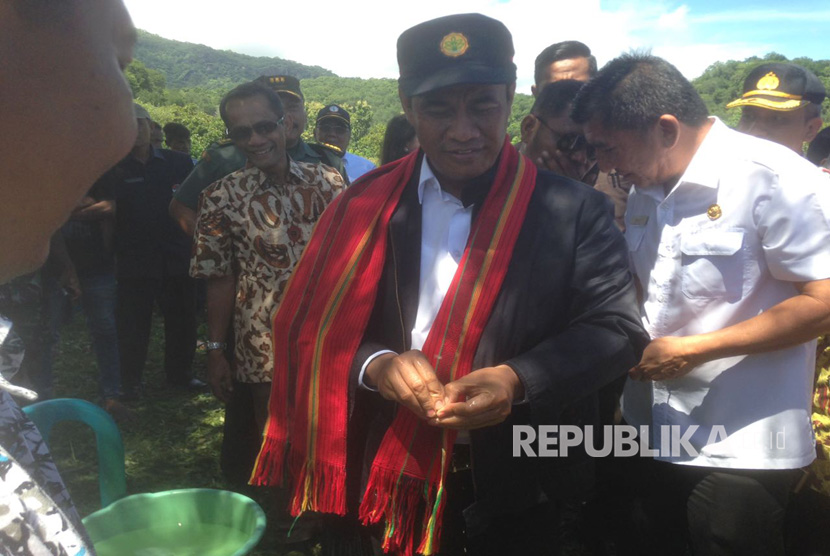 Menteri Pertanian Amran Sulaiman ikut memanen kacang tanah di desa kenebibi, Kabupaten Belu, NTT.