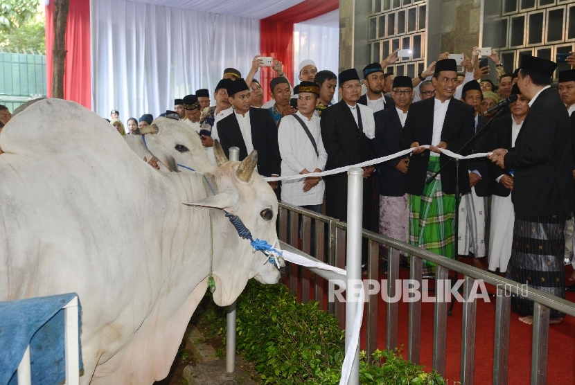 Menteri Pertanian Amran Sulaiman (kedua kanan) yang mewakili Presiden Joko Widodo menyerahkan sapi kurban kepada perwakilan DKM Masjid Istiqlal, Jakarta, Senin (12/9).