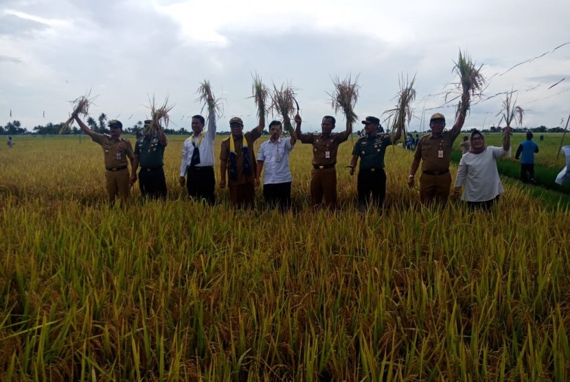 Mentan Panen Padi: Menteri Pertanian Amran Sulaiman (ketiga kiri) saat menghadiri prosesi panen padi lahan rawa, di Kabupaten Tanah Laut, Kalimantan Selatan, Senin (25/2).