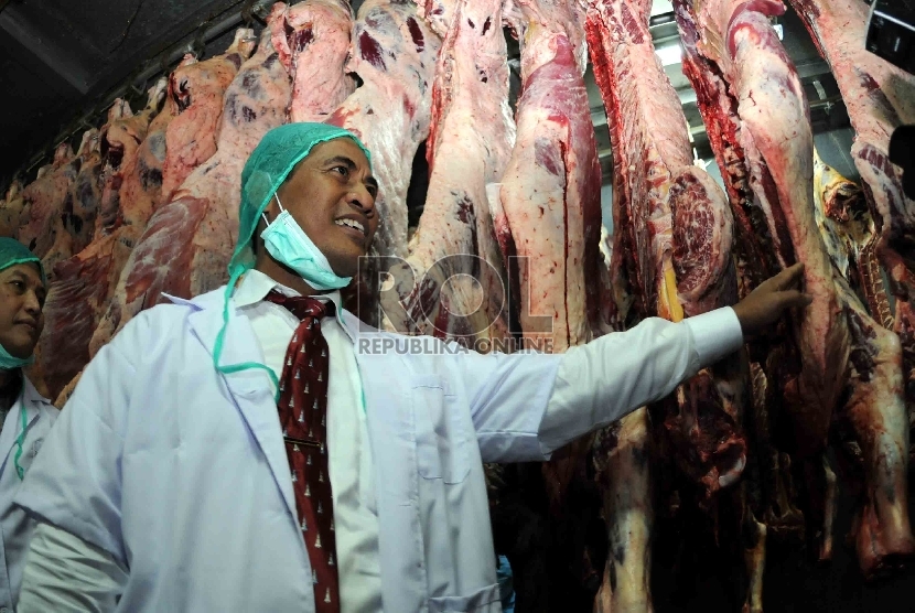 Menteri Pertanian Amran Sulaiman memeriksa daging sapi saat mengunjungi Rumah Pemotongan Hewan (RPH) milik PT Berdikari (Persero), di Desa Gandasari, Kecamatan Cibitung Barat, Bekasi, Jawa Barat (8/7). (Republika/Agung Supriyanto)