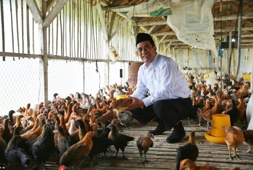 Menteri Pertanian Amran Sulaiman mengunjungi peternakan ayam.