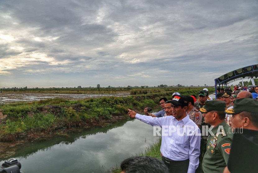 Menteri Pertanian Amran Sulaiman meninjau lahan rawa di Kabupaten Barito Kuala Kalimantan Selatan  yang akan dijadikan lokasi Hari Pangan Sedunia 2018, Jumat (29/6).