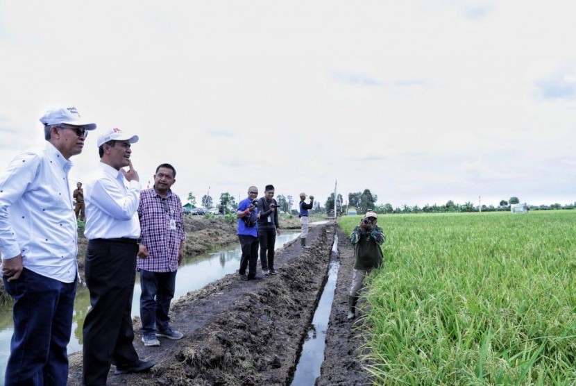 Menteri Pertanian Amran Sulaiman saat mengecek kesiapan pilot pengembangan lahan rawa di Desa Jejangkit, Kecamatan Jejangkit, Kabupaten Barito Kuala, Kalimantan Selatan, Selasa (16/10)