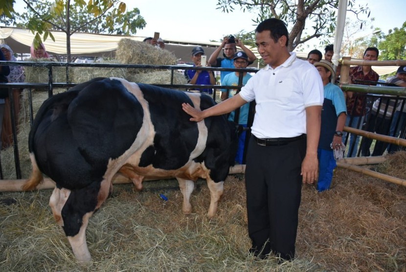 Menteri Pertanian Amran Sulaiman saat meninjau langsung lokasi persiapan Kontes Ternak dan Panen Pedet,  Sabtu (27/10)