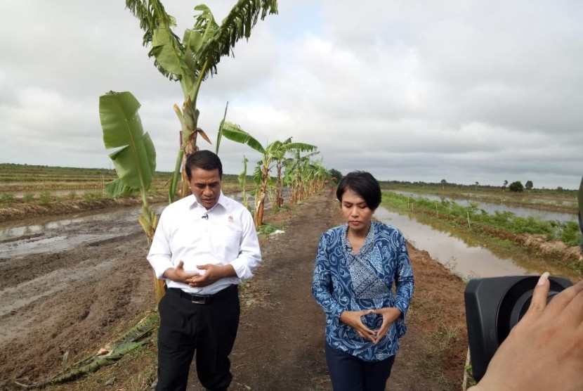 Menteri Pertanian Andi Amran Suilaiman berjalan di sekitar lahan rawa yang dijadikan sawah.