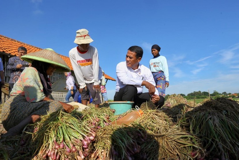 Menteri Pertanian Andi Amran Sulaiman