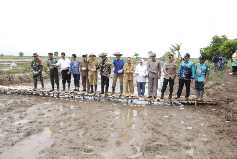 Menteri Pertanian Andi Amran Sulaiman bersiap menabur benih padi pada lahan rawa di Provinsi Kalimanan Selatan, Selasa (18/12)