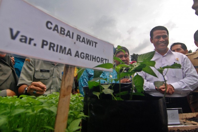 Menteri Pertanian Andi Amran Sulaiman (kanan) mencanangkan Gerakan Nasional Penanaman Cabai (Gertam Cabai) di Bergas, Kabupaten Semarang, Jawa Tengah, Senin (23/1).
