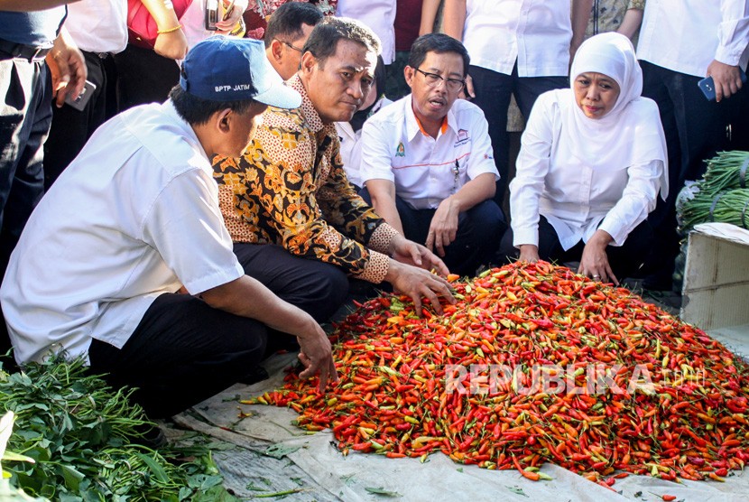 Menteri Pertanian Andi Amran Sulaiman (kedua kiri) Gubernur Jatim Khofifah Indar Parawansa (kanan) meninjau pedagang cabai saat operasi pasar murah bawang putih, di pasar baru Porong, Sidoarjo, Jawa Timur, Rabu (22/5/2019).