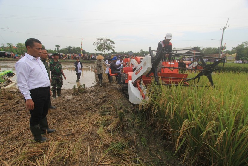 Menteri Pertanian Andi Amran Sulaiman (kiri) mengamati proses panen padi menggunakan mesin Combine Harvester saat panen raya di Cikedung, Indramayu, Jawa Barat, Rabu (30/3).
