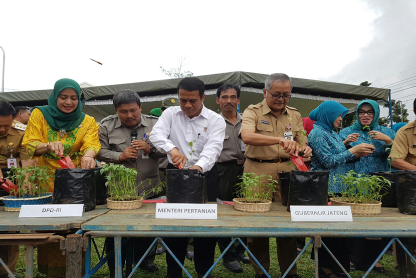 Menteri Pertanian Andi Amran Sulaiman melakukan penanaman cabai secara simbolis saat pencanangan Gerakan Nasional Penanaman Cabai (Gertam Cabai) di Balai Pengkajian Teknologi Pertanian (BPTP) Jawa Tengah, di Semarang, Senin (23/1).  