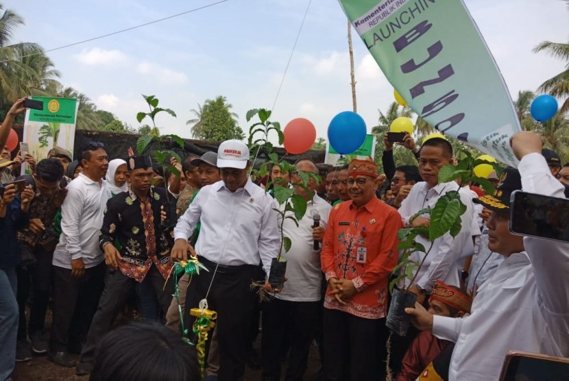 Menteri Pertanian Andi Amran Sulaiman meluncurkan program pemberian bibit unggul sebesar 500 juta selama lima tahun atau Bun500, di Palangka Raya, Kalimantan Tengah, Kamis (18/7). 