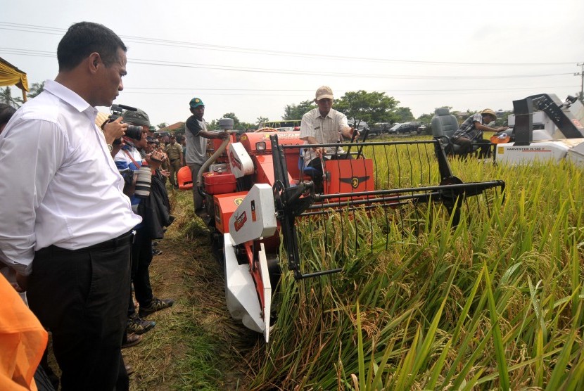 Menteri Pertanian Andi Amran Sulaiman memperhatikan proses panen padi menggunakan mesin Combine Harvester saat panen raya di Desa Babadan, Tegal, Jawa Tengah, Kamis (31/3). 