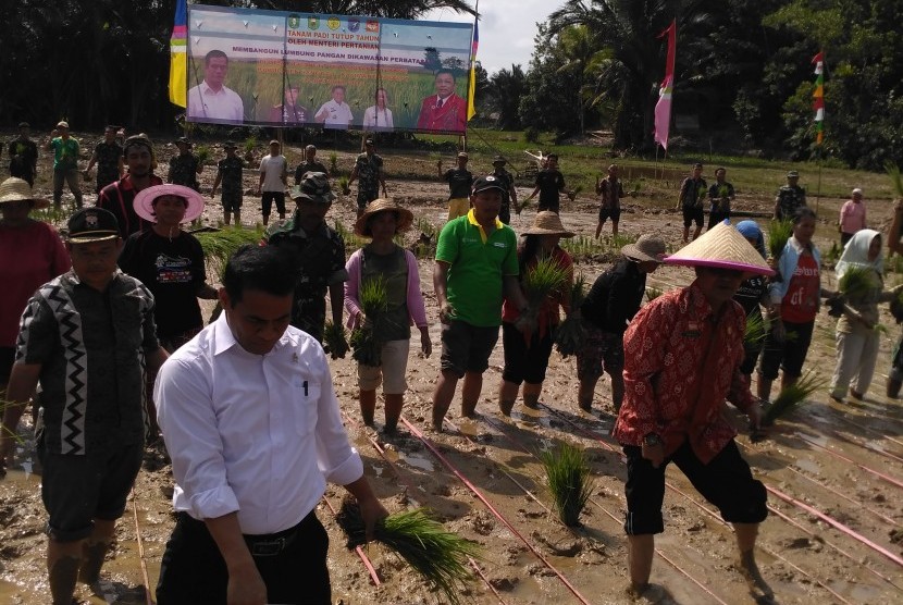 Menteri Pertanian, Andi Amran Sulaiman menanam padi hazton di Dusun Gunung Senyang, Desa Semanget, Kecamatan Entikong, Kabupaten Sanggau, Kalimantan Barat, Sabtu (21/10).