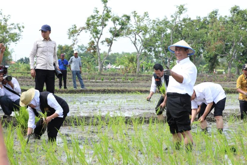 Menteri Pertanian Andi Amran Sulaiman menggelar Panen dan Tanam Padi di Desa Ngadipuro dan Desa Ngadirejo, Kecamaran Widang, Kabupaten Tuban, Jawa Timur.