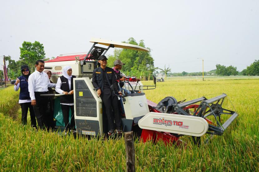 Menteri Pertanian Andi Amran Sulaiman menggelar Panen dan Tanam Padi di Desa Ngadipuro dan Desa Ngadirejo, Kecamaran Widang, Kabupaten Tuban, Jawa Timur