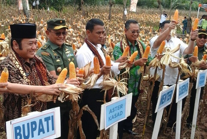 Menteri Pertanian Andi Amran Sulaiman menghadiri panen perdana jagung di Desa Tanjung Agung, Kecamatan Katibung, Kabupaten Lampung Selatan, provinsi Lampung, Kamis (16/2).