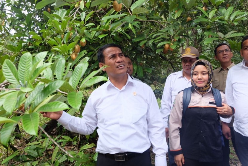 Menteri Pertanian Andi Amran Sulaiman meninjau potensi pertanian di Konawe Kepulauan.