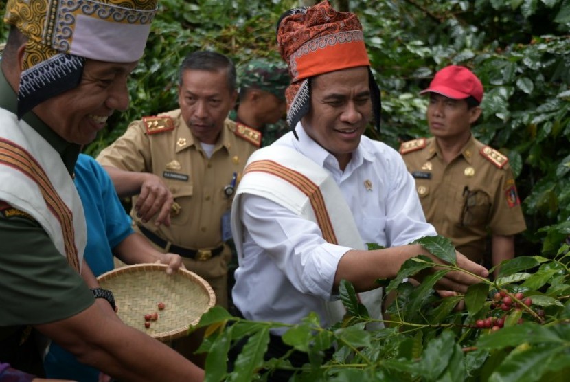 Menteri Pertanian Andi Amran Sulaiman saat memetik kopi yang sudah bisa dipanen di Kecamatan Gandang Batu Silanan, Kabupaten Tana Toraja, Selasa (24/4). 