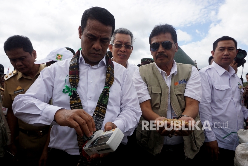  Menteri Pertanian Andi Amran Sulaiman saat mengahdiri acara Panen Raya dan Serap Gabah Petani di Kabupaten Barru, Sulawesi Selatan, Senin (20/3)