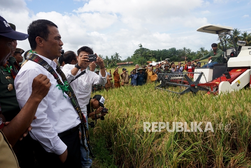 Menteri Pertanian Andi Amran Sulaiman saat menghadiri acara Panen Raya dan Serap Gabah Petani di Kabupaten Barru, Sulawesi Selatan, Senin (20/3).