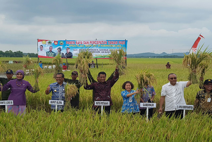 Menteri Pertanian Andi Amran Sulaiman (tengah) mengangkat padi saat melakukan panen raya di Desa Pulo Kecamatan Kedungtuban, Kabupaten Blora, Jawa Tengah, Selasa (24/1). 