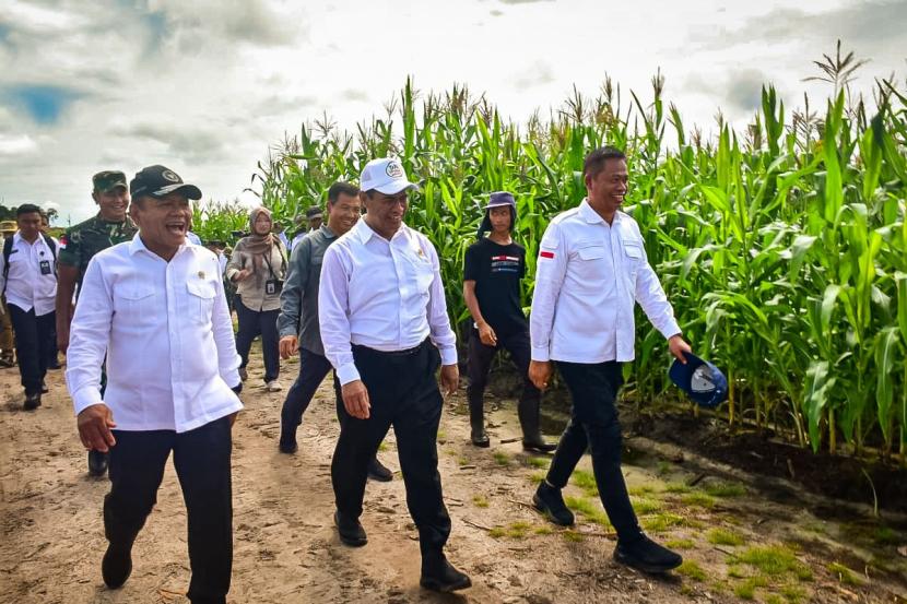 Menteri Pertanian (Mentan) Andi Amran Sulaiman berkunjung ke lahan Food Estate pertanaman jagung di Kabupaten Gunung Mas, Kalimantan Tengah. 