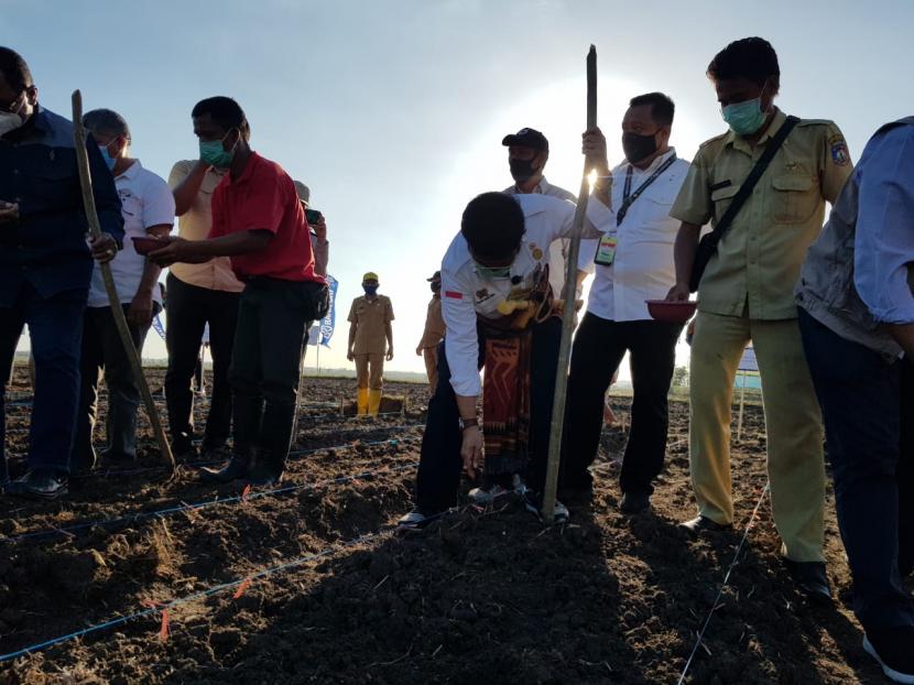 Menteri Pertanian (Mentan) Syahrul Yasin Limpo melakukan penanaman jagung, sekaligus meresmikan Food Estate di Desa Umbul Pabal Kecamatan Umbu Rato Nggai Barat, Sumba Tengah, Selasa (22/9).
