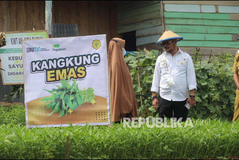 Menteri Pertanian (Mentan) Syahrul Yasin Limpo berupaya meningkatkan kapasitas penyuluh pertanian di kawasan food estate.