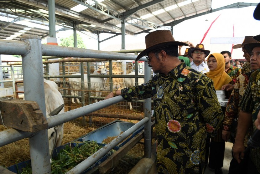 Menteri Pertanian (Mentan) Syahrul Yasin Limpo mengharapkan kucuran anggaran perbankan berbentuk Kredit Usaha Rakyat (KUR) untuk pengembangan inseminasi buatan (IB).