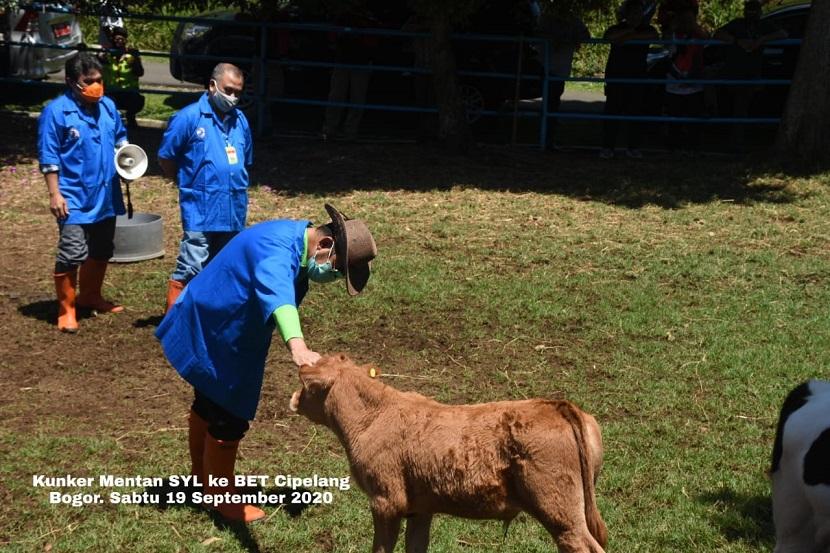 Menteri Pertanian (Mentan) Syahrul Yasin Limpo meninjau proses Inseminasi Buatan (IB) sapi lokal dan internasional di laboratorium dan kandang utama Balai Embrio Ternak (BET) Cipelang, Bogor, Jawa Barat.