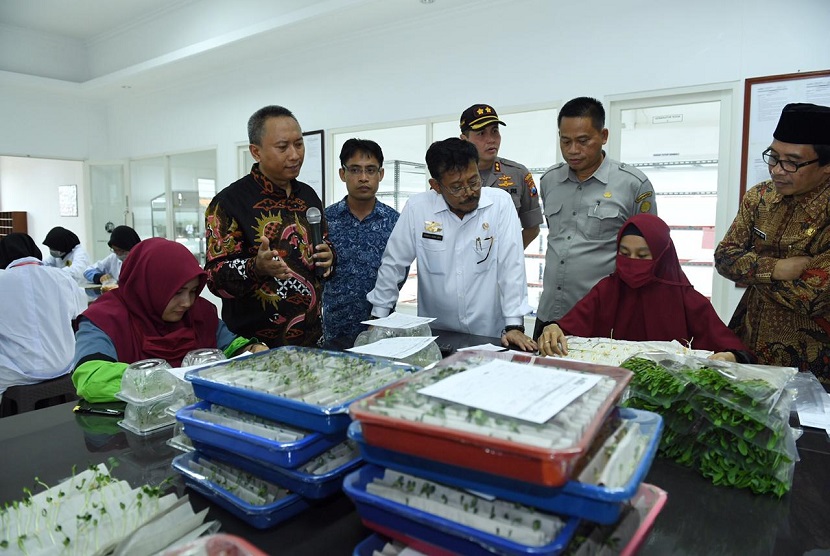 Menteri Pertanian (Mentan) Syahrul Yasin Limpo meninjau proses produksi benih jagung hibrida PT Benih Citra Asia (BCA) di Jalan Akmaludin, Jember, Jawa Timur.