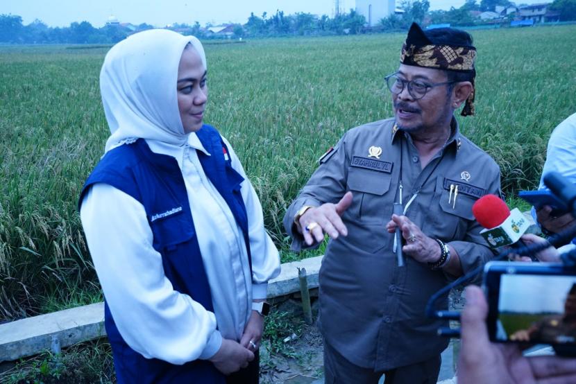 Menteri Pertanian (Mentan) Syahrul Yasin Limpo (SYL) bersama Bupati Kabupaten Karawang Cellica Nurrachadiana, mengawal panen raya di Kabupaten Karawang, Jawa Barat.