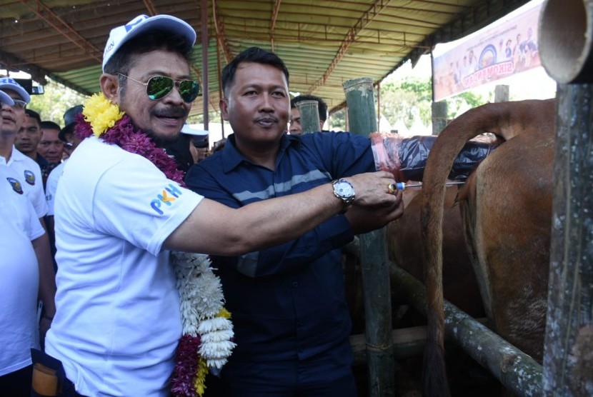 Menteri Pertanian (Mentan) Syahrul Yasin Limpo (SYL) melakukan panen 1000 ekor pedet sekaligus meluncurkan program Sapi Kerbau Komoditas Andalan Negeri (Sikomandan) di Kabupaten Serdang Bedagai - Sumatera Utara.