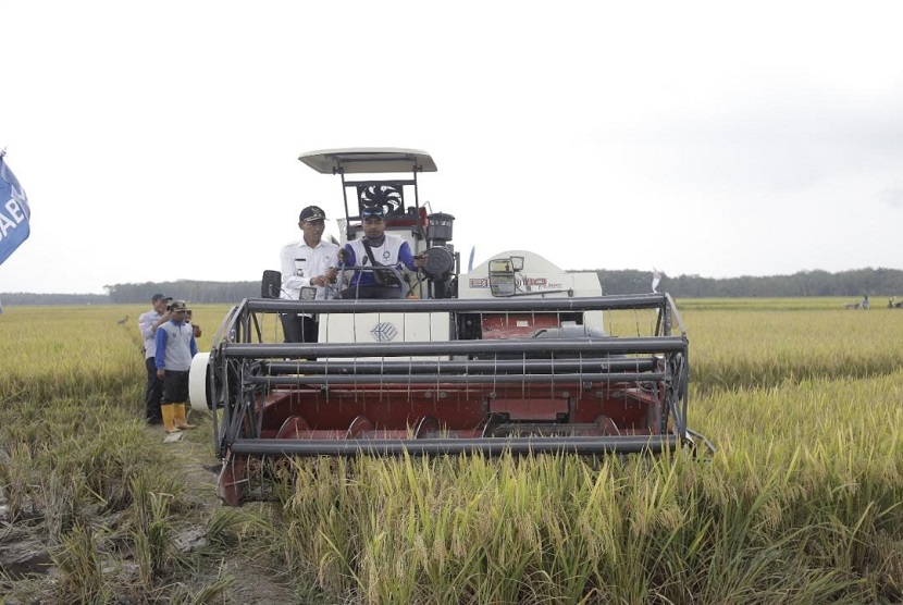Menteri Pertanian (Mentan) Syahrul Yasin Limpo (SYL) memerintahkan jajaran Kementerian pertanian (Kementan) agar memantau produksi sektor pertanian selama masa panen raya.