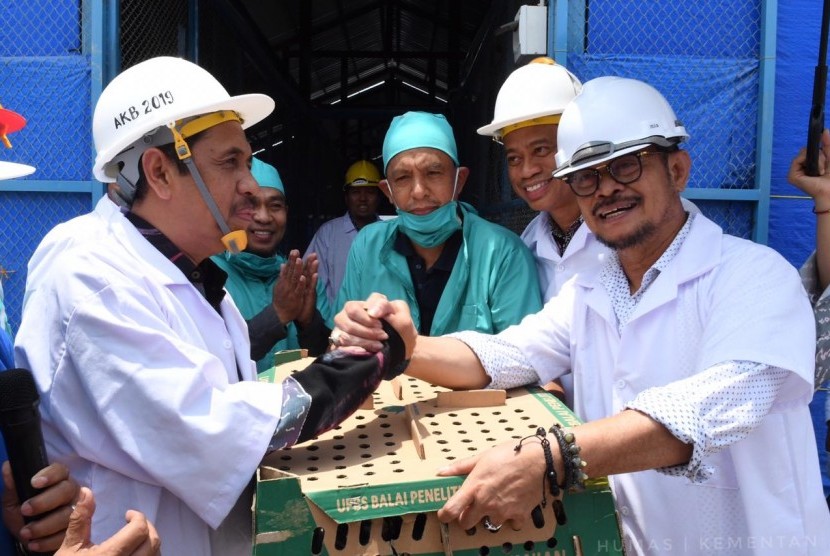 Menteri Pertanian (Mentan) Syahrul Yasin Limpo (SYL) mendorong pengembangan bibit ayam kampung.