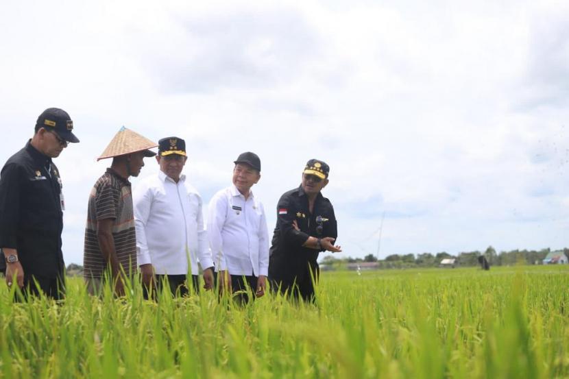 Menteri Pertanian (Mentan) Syahrul Yasin Limpo (SYL) meninjau pengembangan Food Estate, (ilustrasi). Menteri Pertanian (Mentan), Syahrul Yasin Limpo, memastikan produksi dan ketersediaan beras dalam negeri dalam kondisi aman menjelang bulan Ramadhan. 