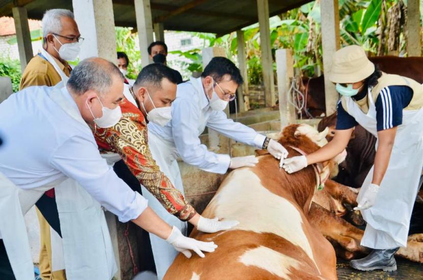 Menteri Pertanian Syahrul Yasin Limpo (kedua dari kanan). Menteri Pertanian, Syarul Yasin Limpo, menyampaikan, kebutuhan hewan ternak untuk kurban pada Hari Raya Idul Adha 2022 diperkirakan sebanyak 1,72 juta ekor.