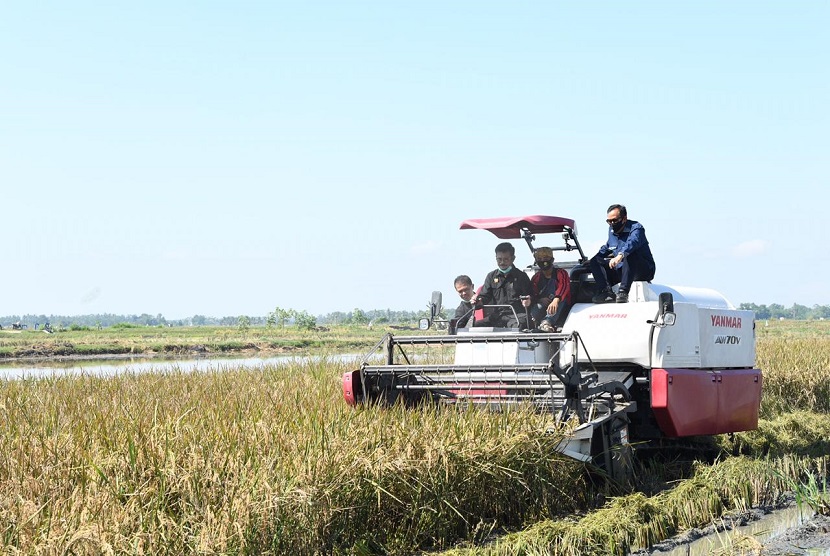 Menteri Pertanian Syahrul Yasin Limpo ikut serta memanen padi petani. Kementan yakin sektor pertanian bisa memberi daya ungkit pada perekonomian kuartal II