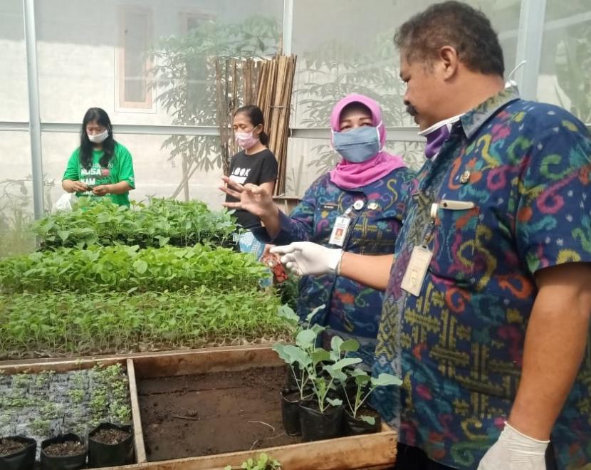 Menteri Pertanian Syahrul Yasin Limpo juga mendorong upaya pemenuhan kebutuhan pangan dengan memanfaatkan lahan pekarangan sebagai sumber pangan dan gizi keluarga melalui optimalisasi pemanfaatan  pekarangan.