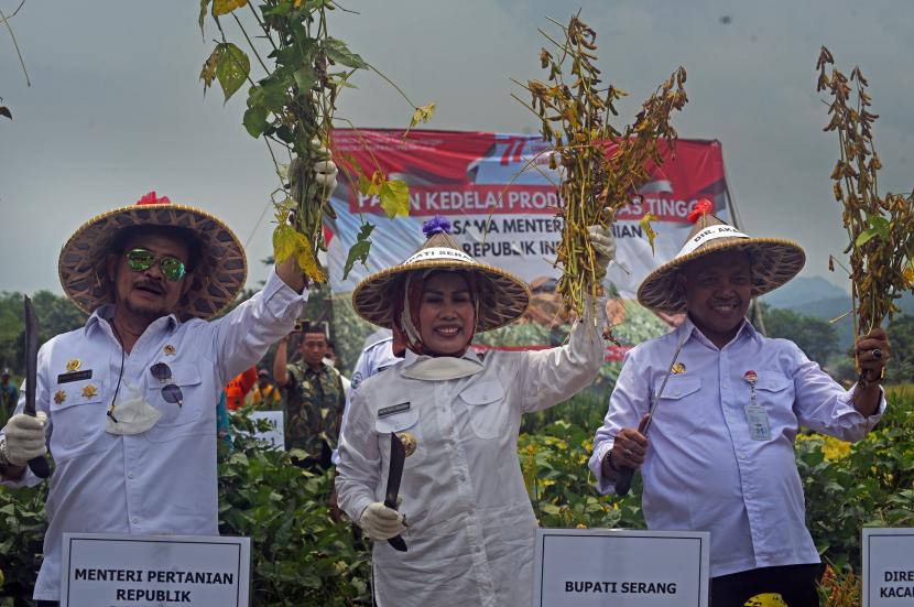 Menteri Pertanian Syahrul Yasin Limpo (kiri) bersama Bupati Serang Ratu Tatu Chasanah (tengah) dan Dirjen Sarana dan Prasarana Pertanian Ali Jamil (kanan) memanen kedelai saat meninjau Gerakan Tanam Kedelai di Cinangka, Serang, Banten, Rabu (14/9/2022). Jajaran Kementan mencanangkan gerakan tanam kedelai di setiap daerah untuk mewujudkan swasembada kedelai di Indonesia. 