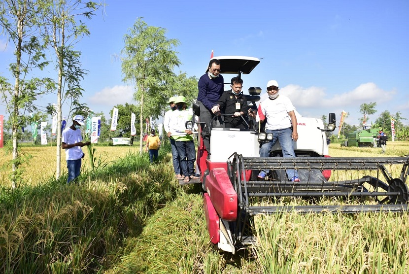 Menteri Pertanian Syahrul Yasin Limpo melakukan panen bersama masyarakat. Kementerian Pertanian (Kementan) bersama jajarannya terus bekerja keras memastikan ketersediaan pangan bagi 267 juta jiwa penduduk Indonesia