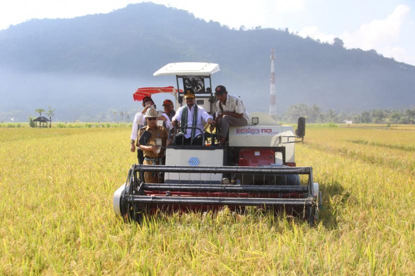 Menteri Pertanian Syahrul Yasin Limpo melakukan panen padi di Desa Tempos Kecamatan Gerung, Kabupaten Lombok Barat, Nusa Tenggara Barat, Senin 26 Juni 2023. 