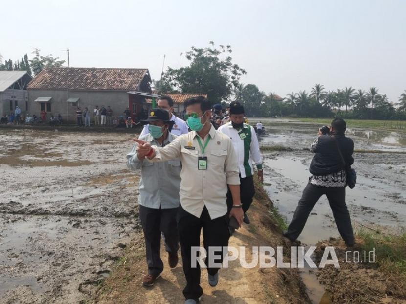 Menteri Pertanian (Mentan) Syahrul Yasin Limpo mengapresiasi kerja keras para petani di seluruh Indonesia. Kata dia, apresiasi ini perlu diberikan karena mereka sukses melakukan cocok tanam Musim Tanam (MT) 1 dengan peningkatan produksi yang luar biasa.