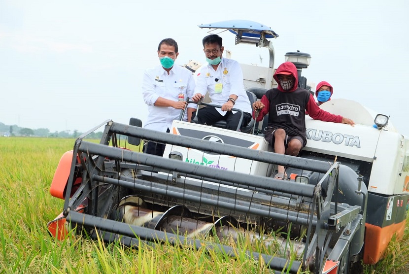 Menteri Pertanian Syahrul Yasin Limpo mengikuti panen raya. Sejak tiga tahun terakhir, produksi padi Indonesia berdasarkan data FAO terus mengalami peningkatan yang cukup tinggi, yakni sebesar 54,65 juta ton pada 2020. Angka tersebut menjadikan Indonesia sebagai negara ketiga penghasil beras terbanyak di dunia.