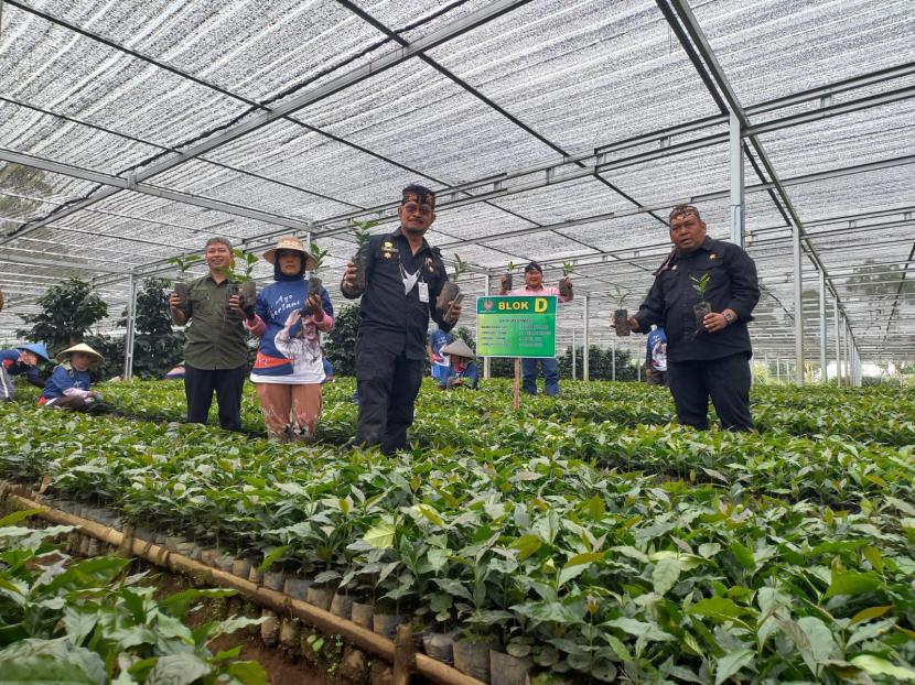 Menteri Pertanian, Syahrul Yasin Limpo, meninjau tempat pembibitan kopi di Desa Cikandang, Kecamatan Cikajang, Kabupaten Garut, Ahad (28/8/2022).